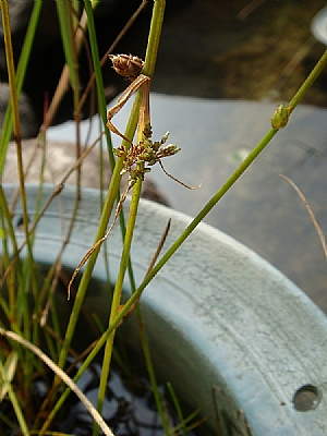 照片2